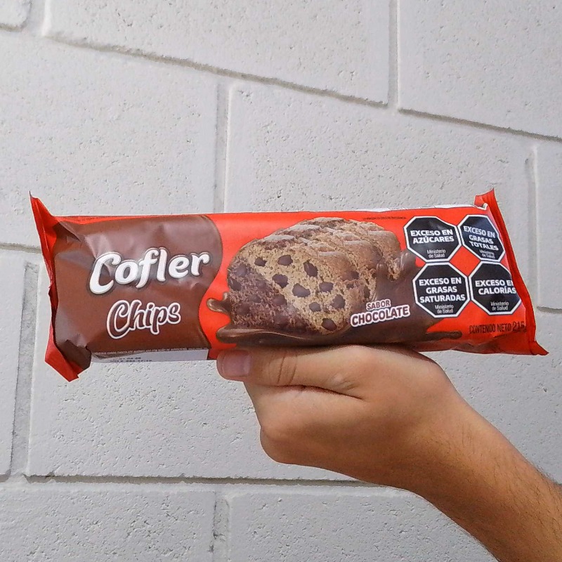 Budin Cofler Con Chips