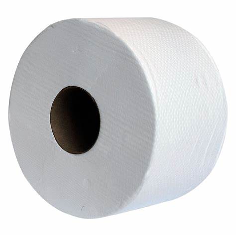 Rollo Papel Higienico X 300 Metros Economico